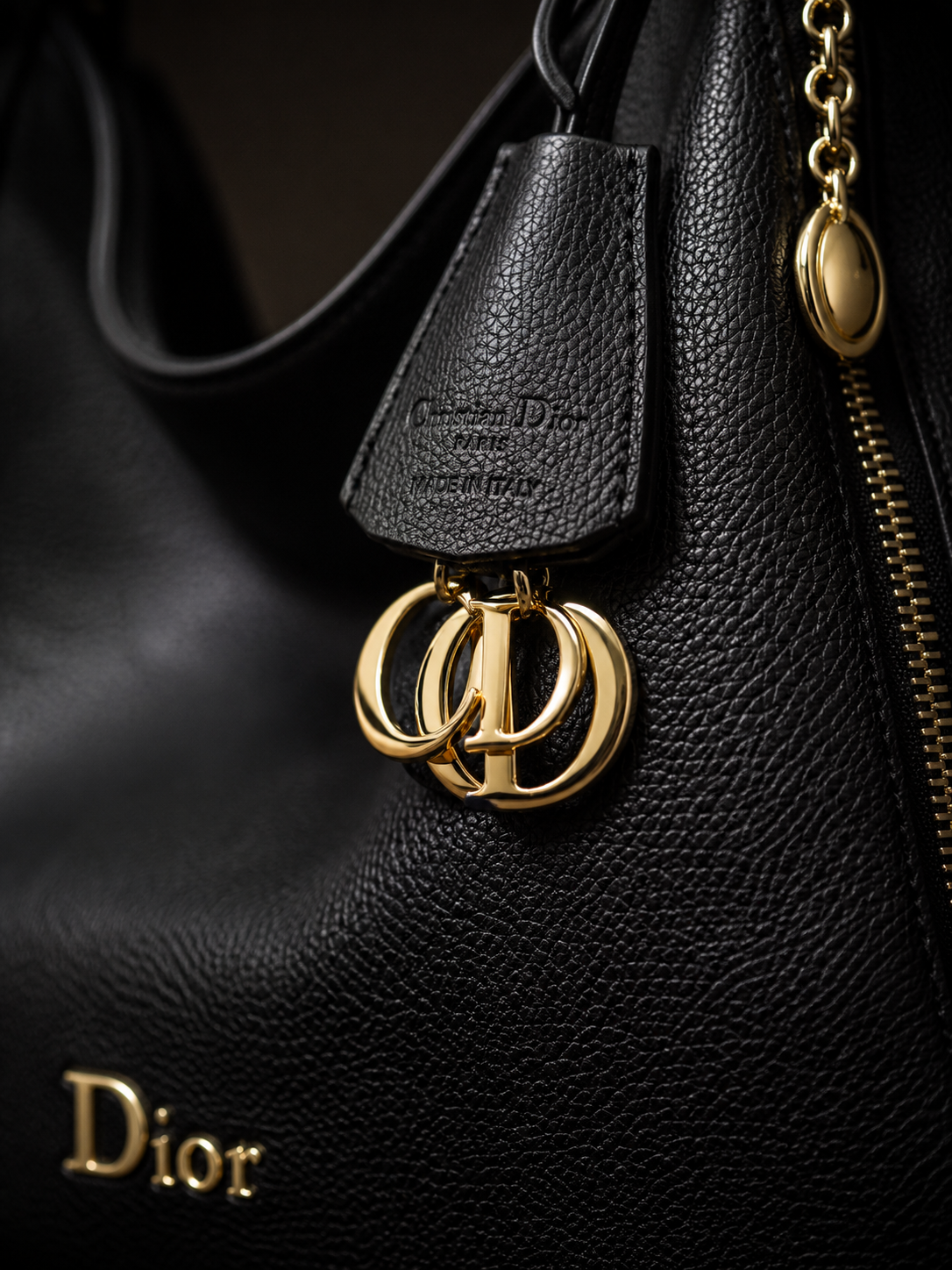 Dior Hobo Bag Set BLACK